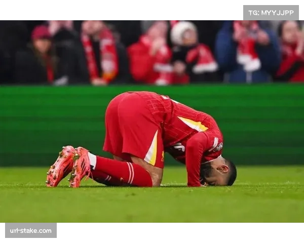 里尔1-1战平尼斯，双方门将贡献多次关键扑救